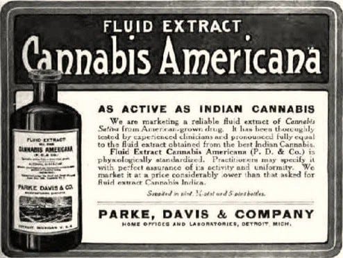 What is the Matter With Me, And How Medical Cannabis Helps