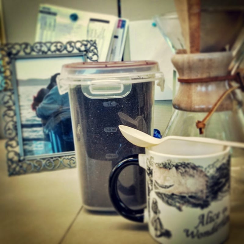 Finding Home in A Cup